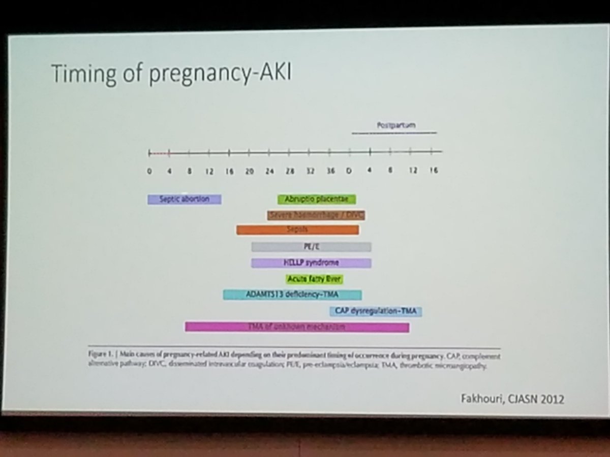 aHUSAllianceAct's tweet photo. TMA &amp; #pregnancy Timing of pregnancy-AKI Dr Craig Gordon speaking now at #TMAboston #aHUS https://t.co/mYGVb39mUj