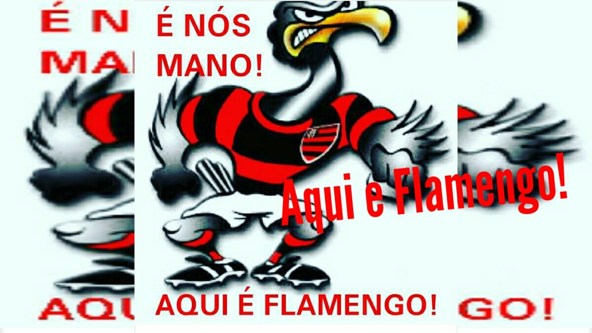WallyssonGaldi1's tweet photo. O melhor e o maior! ❤❤❤ @FlaBuenosAires @Flamengo_en @Flamengo_es @TimeFlamengo https://t.co/fc8Ibeu8QS