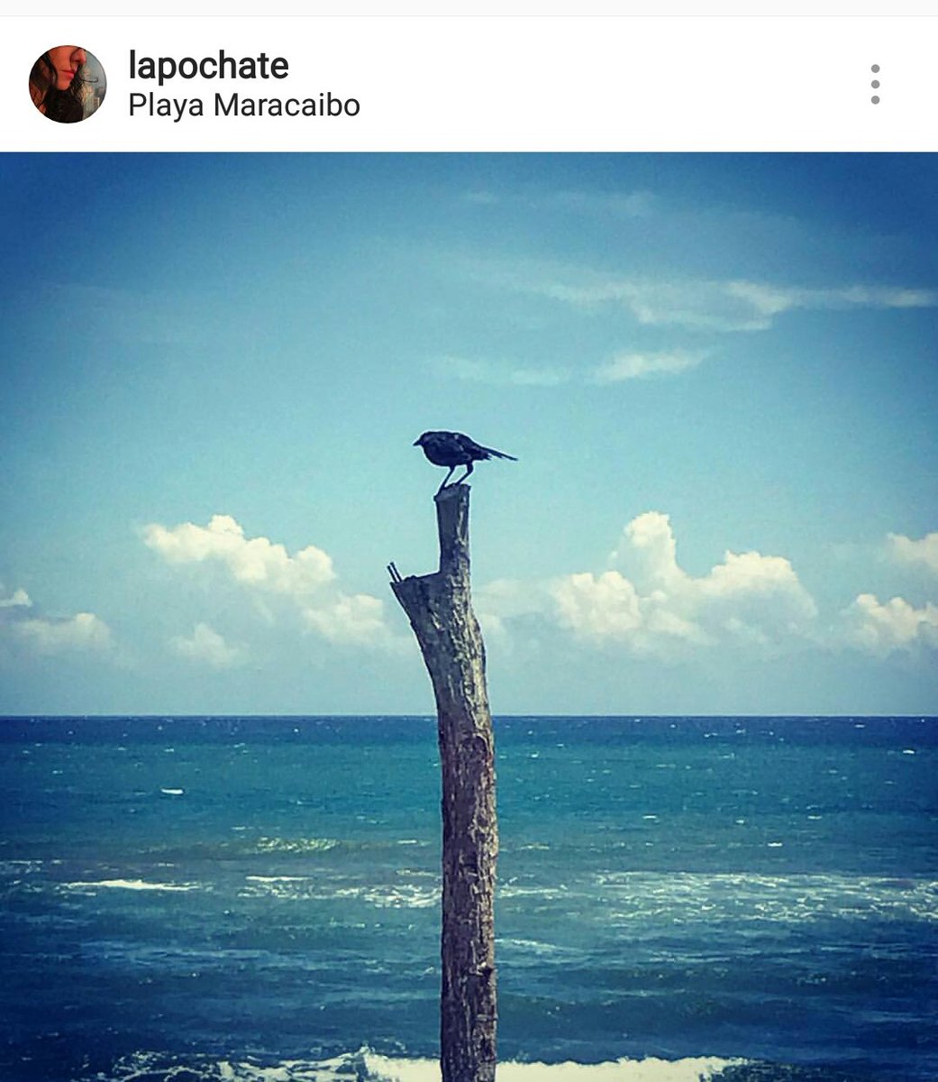 Fesf_Haash's tweet photo. Amo las fotos de Jenn

@Lapochate https://t.co/3HwLwPwhAr