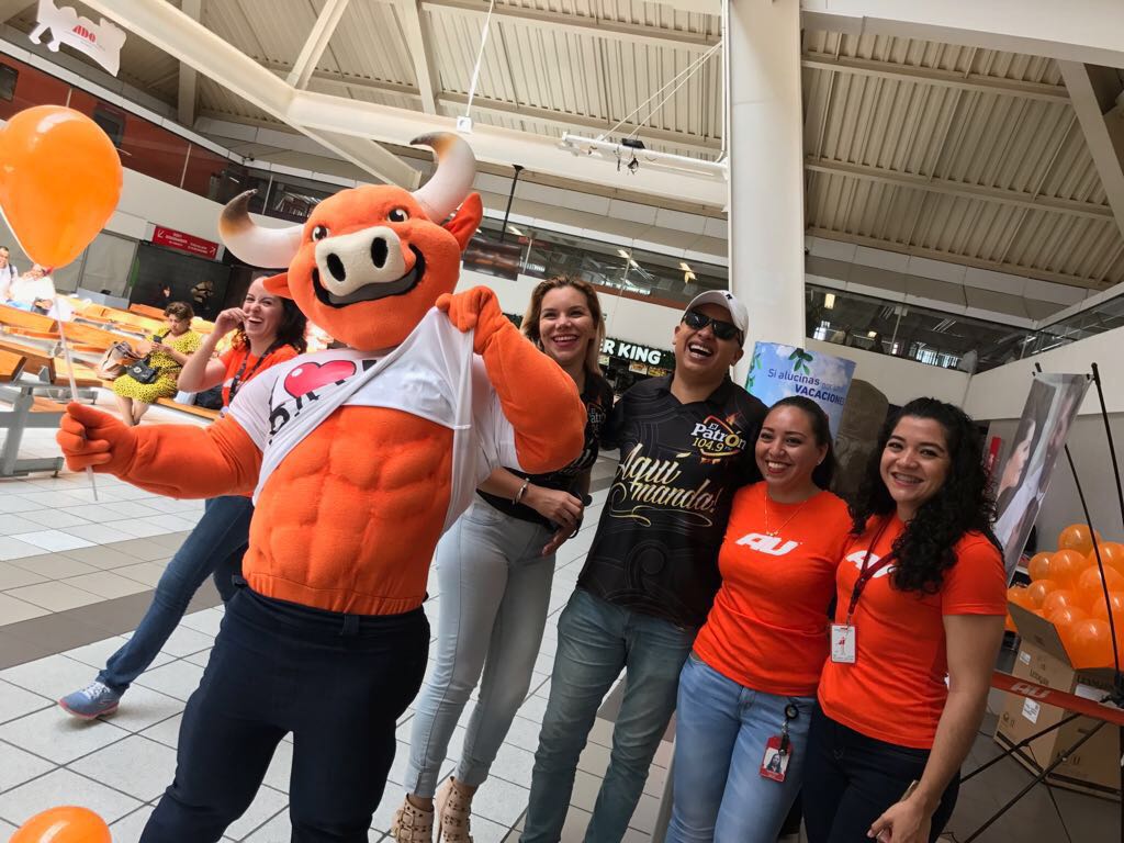 AutobusesUnidos tweet media