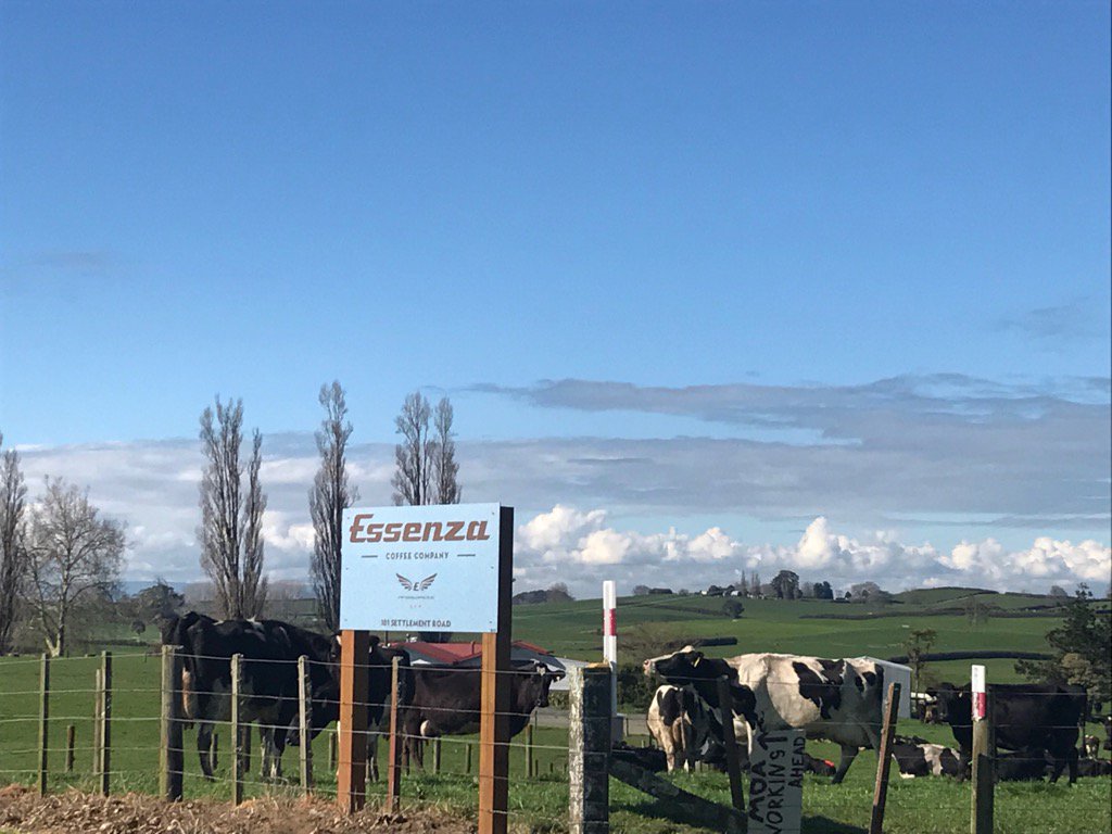 farmerjoNZ's tweet photo. One of my favourite @FonterraFarmers farms to visit home of Essenza coffee and yummy @Fonterra milk #madeinpiako https://t.co/hpjhD4Ooa3