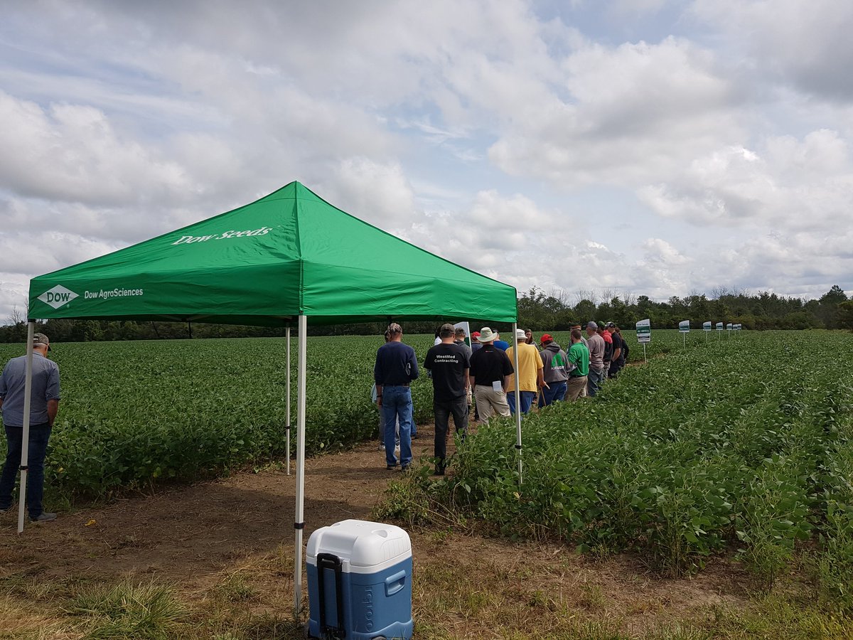 In field <a href="/forestagri/">Darryl Ayris</a> Ag Day. Touring the Dow Seeds Soybean plot led by <a href="/hollyloucas/">Holly Loucas</a>