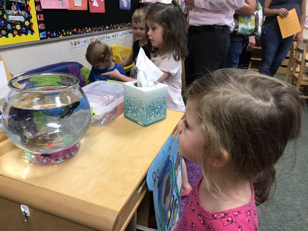 itsjnash's tweet photo. We're taking a peek at PreK! #parentinformation #classtour @lcprek @LibertyCoSchool https://t.co/MCFNraEn2Q
