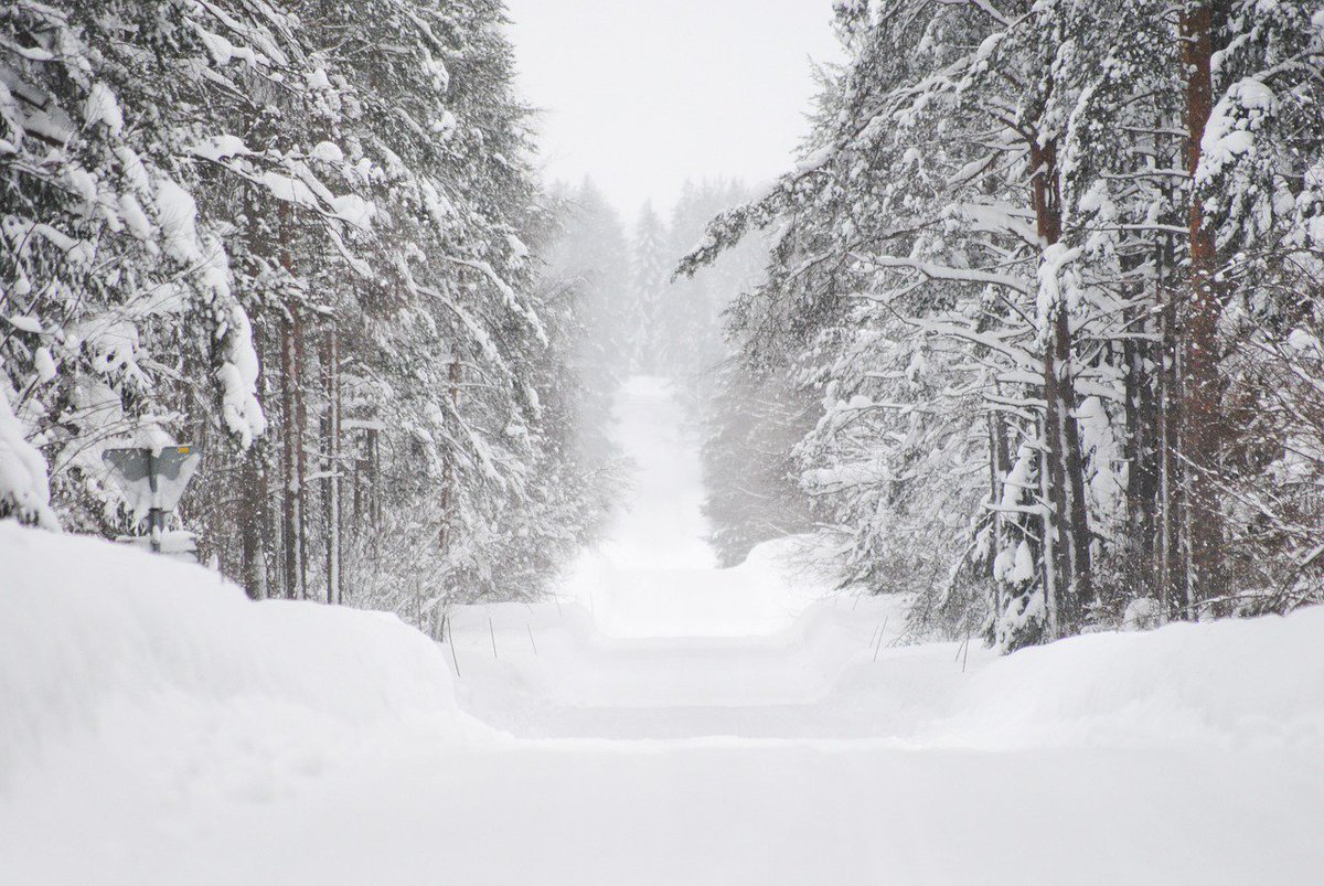 BestScandinavia's tweet photo. Our favourite winter holidays, to get your #wanderlust going: https://t.co/63x7cPlsI5 #bestserved https://t.co/JxyuNt8TzU