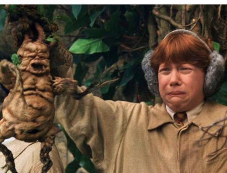 Actual footage of me attempting to remove a chicken from my horse's stall this morning.