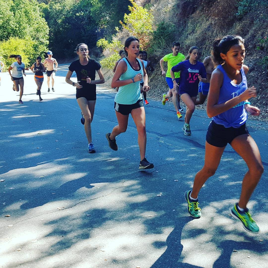 SanJoseStTFXC's tweet photo. #tbt to the team's first study session at #ARU
#alumrockuniversity #spartanup #sanjosestateuniversity #hills #hillrepeats #purecrosscountry https://t.co/BJeI8iDQyO