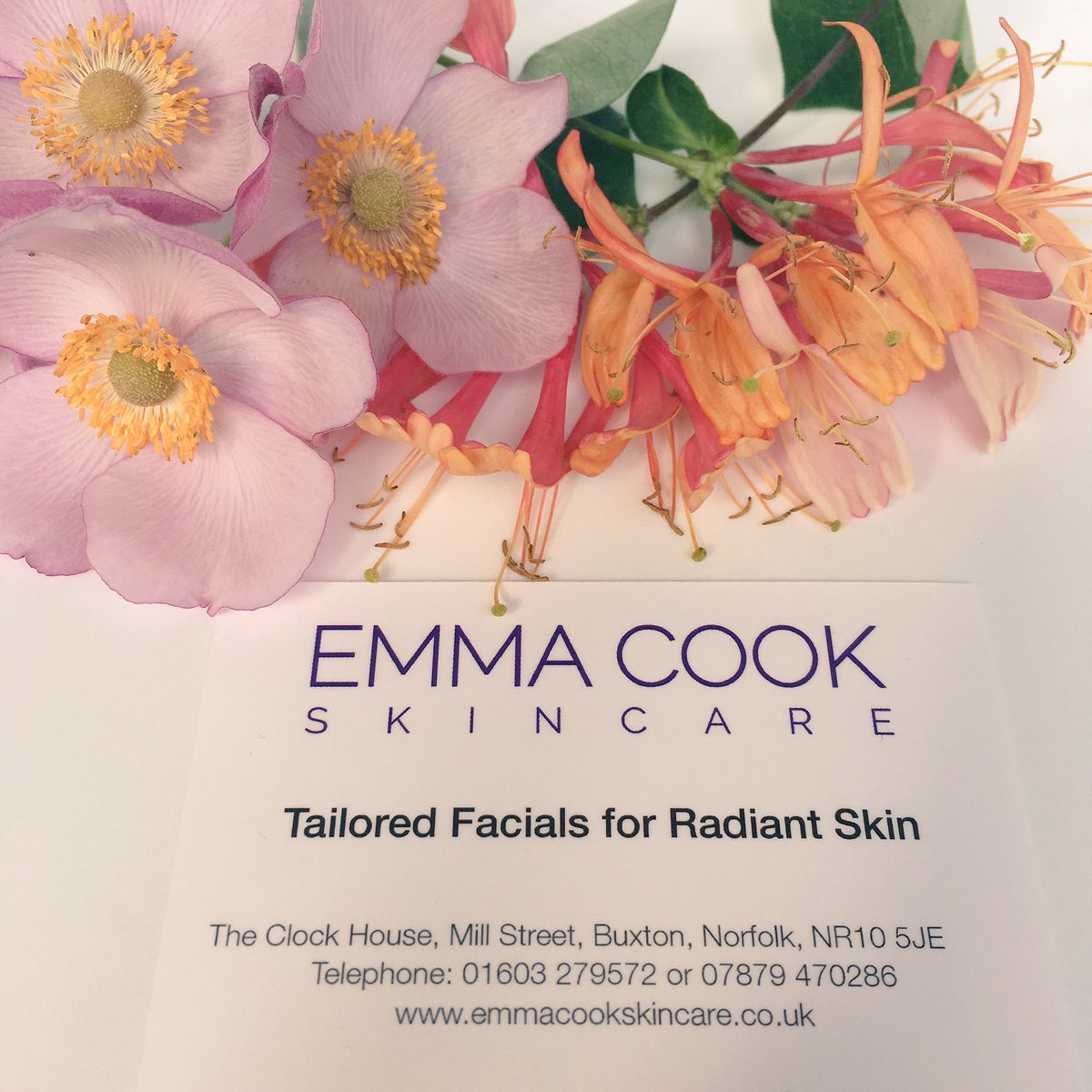 Emma Cook tweet media