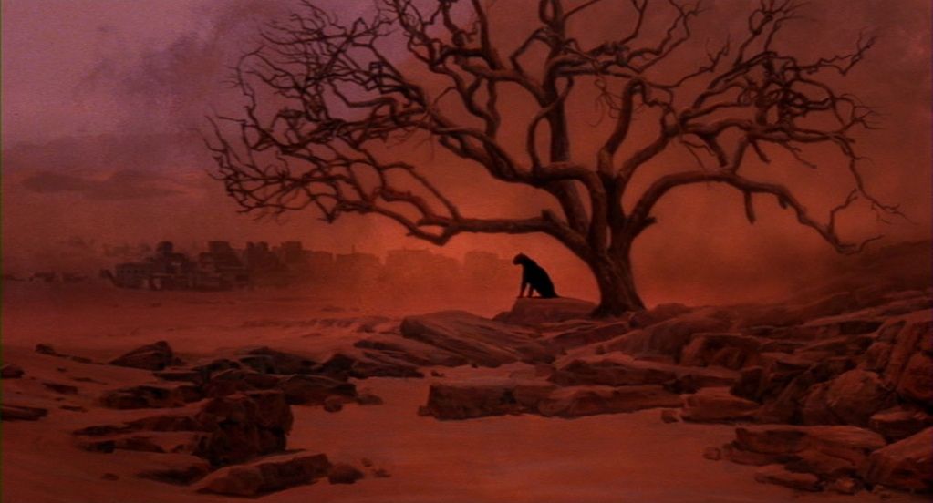 CAT PEOPLE (1982) 

Director of Photography: John Bailey 
Director: Paul Schrader
More Shots: bit.ly/2w5SjxU
