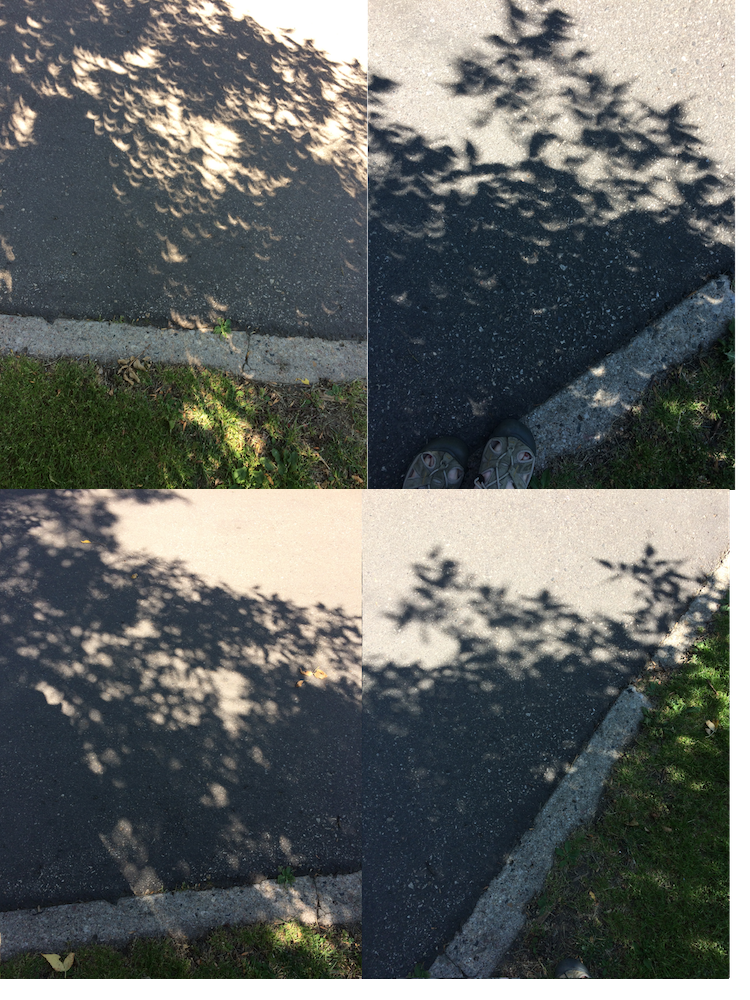 iosparkletree's tweet photo. #SolarEclipse2017 Shadows are little smiling moons! Top photos eclipse day (Aug 21), Bottom photos Aug23 (same location &amp; time of day) #yxe https://t.co/gB7uQZdNuq