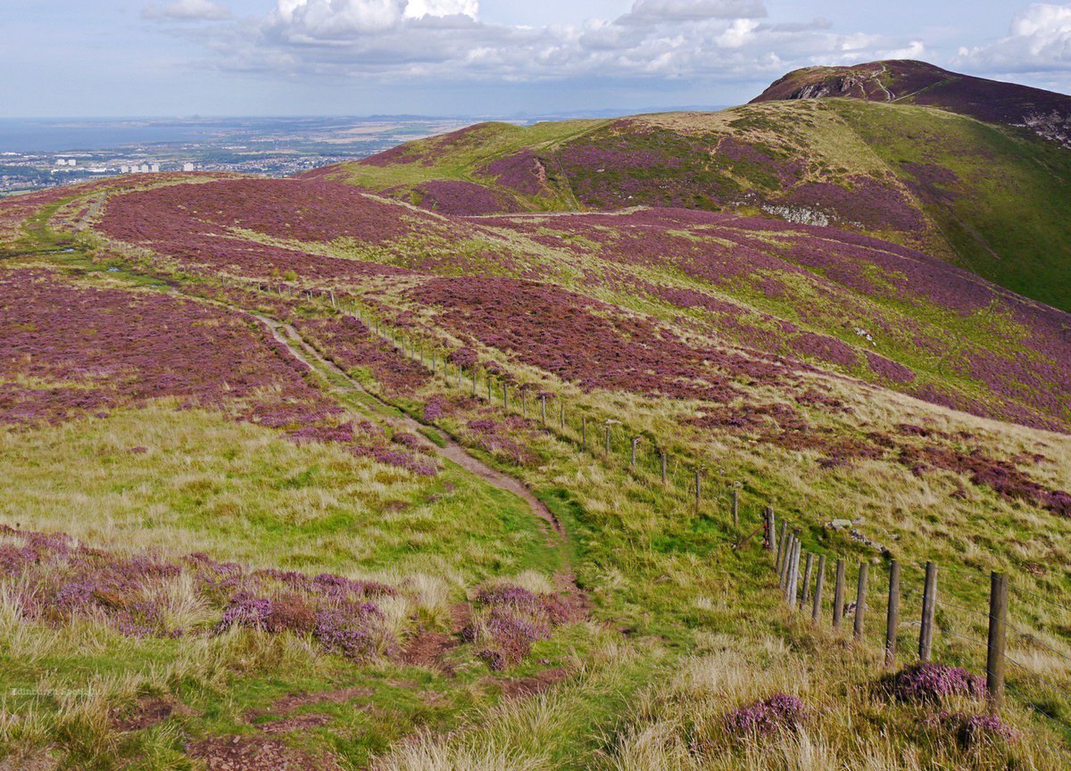 Edinburgh Spotlight tweet media