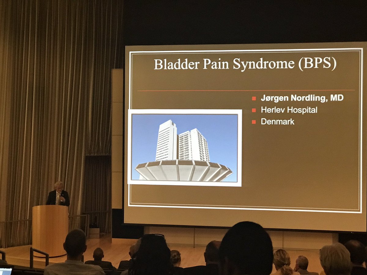 CopMich's tweet photo. Dr. Jørgen Nordling discussing Bladder Pain Syndrome #CopMich17 https://t.co/sqbv6FTSCI