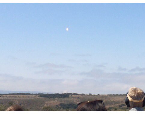 SandyMazza's tweet image. What we saw #formosat5 #spacex