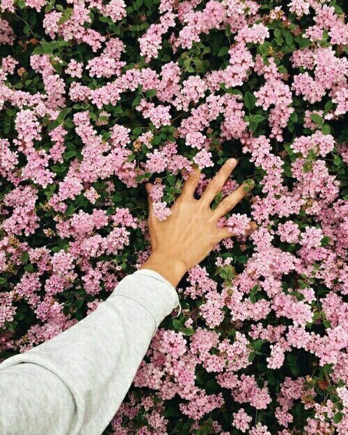 aoaaesthetic's tweet photo. Seolhyun🌸 https://t.co/3SAlAMkShL