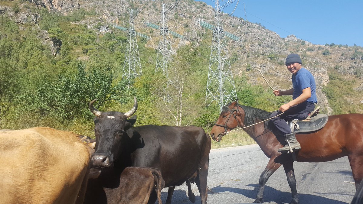 DeadpanDrafters's tweet photo. Traffic in Kyrgystan https://t.co/31VbqshDBz