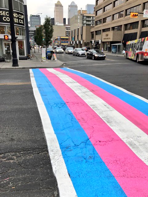 First of its kind... <a href="/17thavesw/">17th ave SW</a> &amp; <a href="/4thStreetYYC/">4th Street Calgary</a> share their Pride by painting a 'Transgender' crosswalk!
