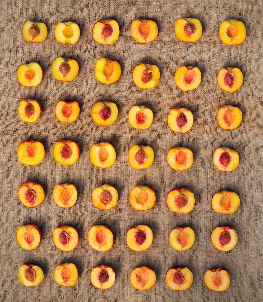 stleongardens's tweet photo. PEACH CANNERS REJOICE! The Ontario Peaches are now freestone!! ❤️👌🍑🤣🤣
#stleongardens
#ontariofruit
#freestonepeaches https://t.co/Jsv8gLBjhq