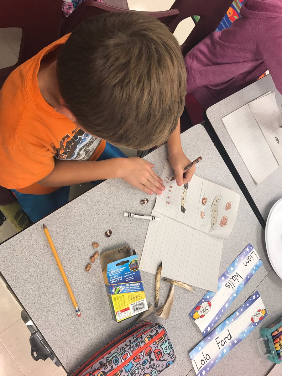 BloomBulldogs's tweet photo. #BloomDL #SeedScience https://t.co/HuPw5JFdRY