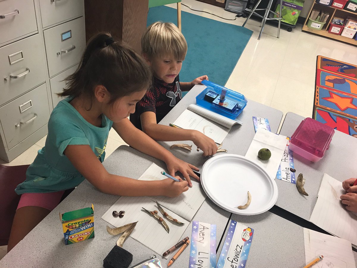 BloomBulldogs's tweet photo. #BloomDL #SeedScience https://t.co/HuPw5JFdRY