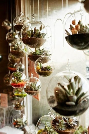 vcreekgarden's tweet photo. String Succulent Garden That Looks Like ... - https://t.co/GlLgVmwXTn
#IndoorGarden #StringGarden #Succulents https://t.co/mQTQpbXImZ