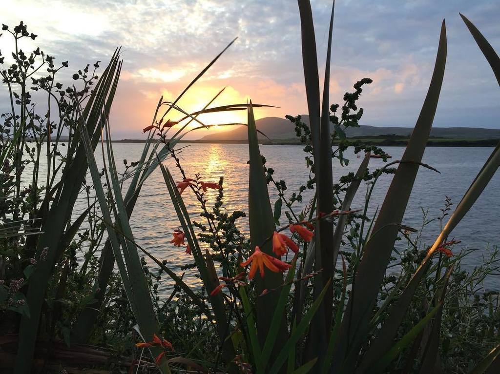 eleanor_c_Art's tweet photo. Beautiful #sunset this evening in #mannixpoint, #kerry, #ireland 
#nofilter #nofilterneeded https://t.co/Vs19HkgcUY Beautiful #sunset this… https://t.co/QVFzlIzqsz
