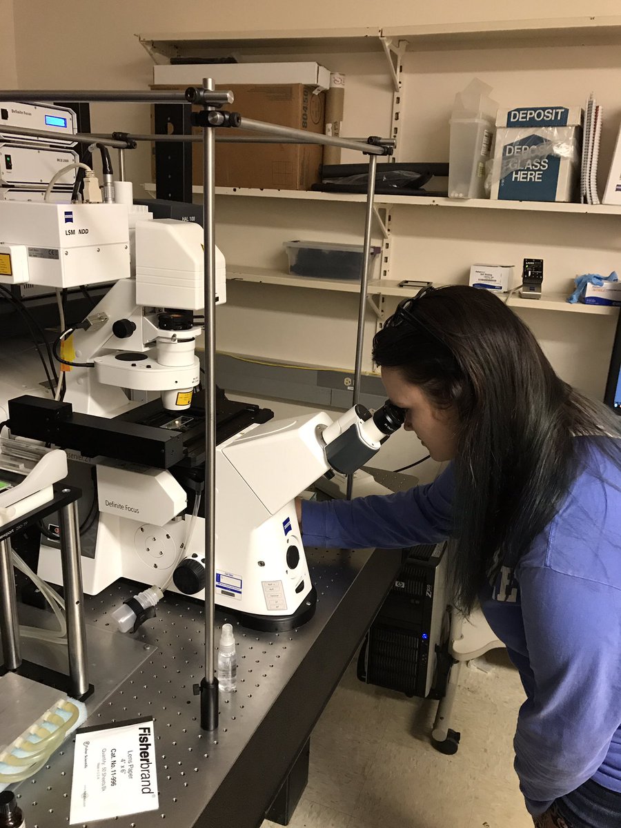 m_scheibinger's tweet photo. @MBLScience @zeiss_micro https://t.co/TUGFwaMVkT