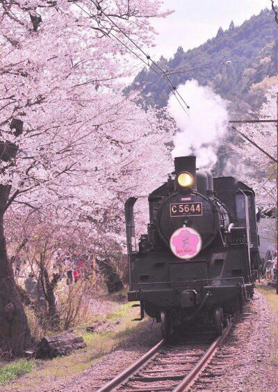 IIXL9___'s tweet photo. Japan💓 https://t.co/OSarTTaXvZ