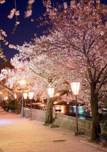 IIXL9___'s tweet photo. Japan💓 https://t.co/OSarTTaXvZ