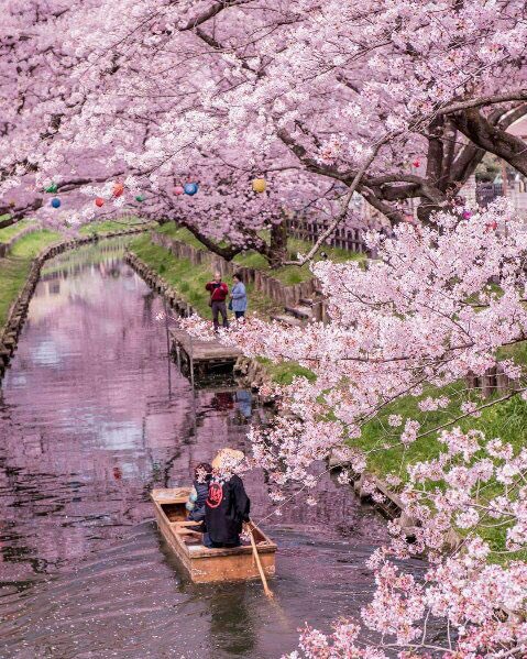 IIXL9___'s tweet photo. Japan💓 https://t.co/OSarTTaXvZ