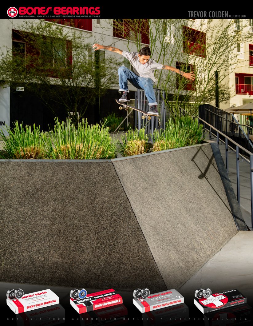 Bones Swiss Bearings Trevor Colden