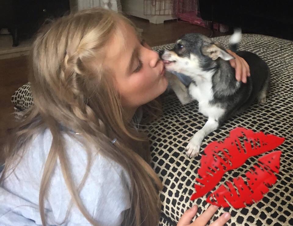 Sandramcculloc4's tweet photo. So friggin adorable #kisskiss https://t.co/0sSyuFZENz