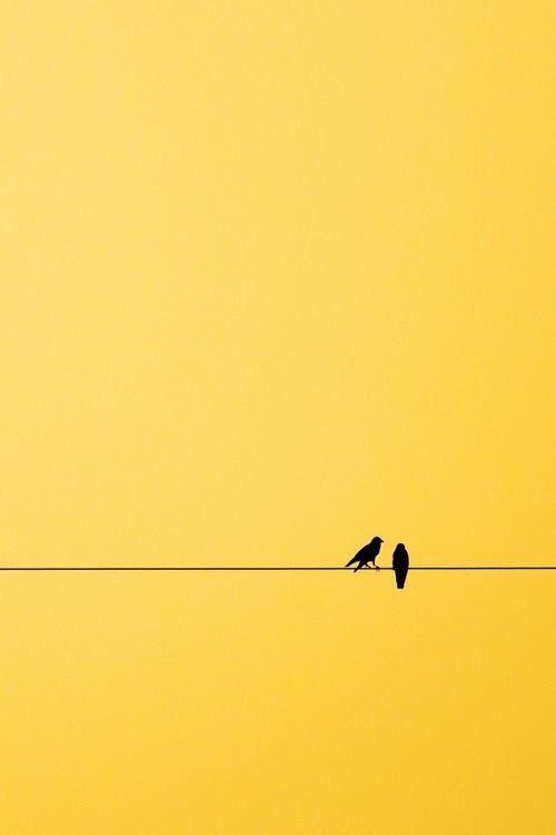 IIXL9___'s tweet photo. اللون الاصفر💛. https://t.co/EWKbmXbUiK