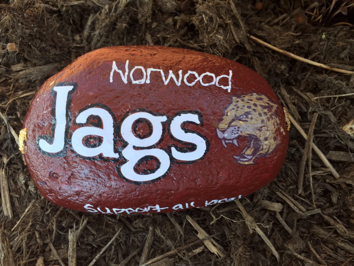 NWESJaguars's tweet photo. We found some very cool rocks on campus today! #norwoodrocks #calebrocks https://t.co/431fGqlAwR