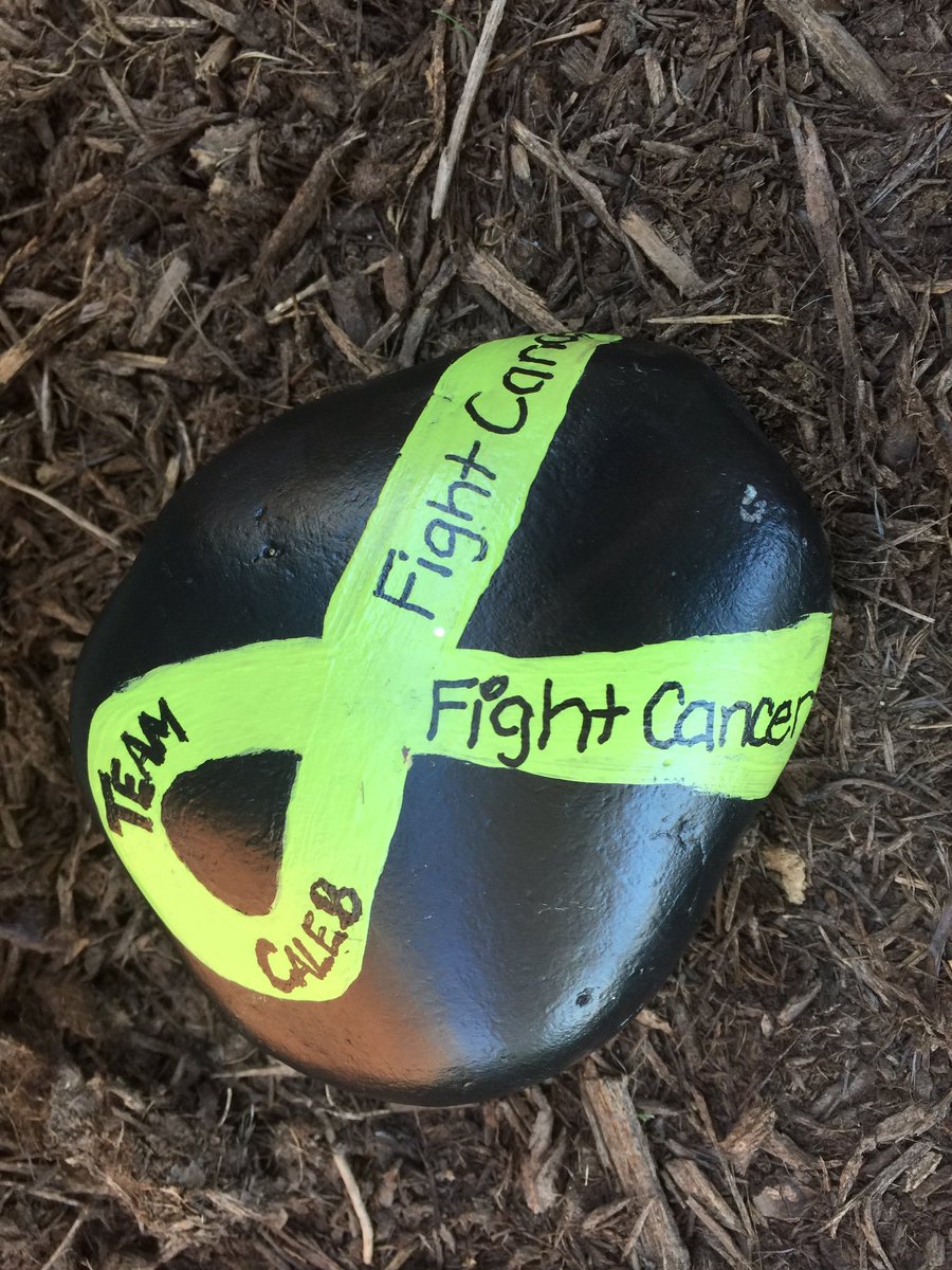 NWESJaguars's tweet photo. We found some very cool rocks on campus today! #norwoodrocks #calebrocks https://t.co/431fGqlAwR