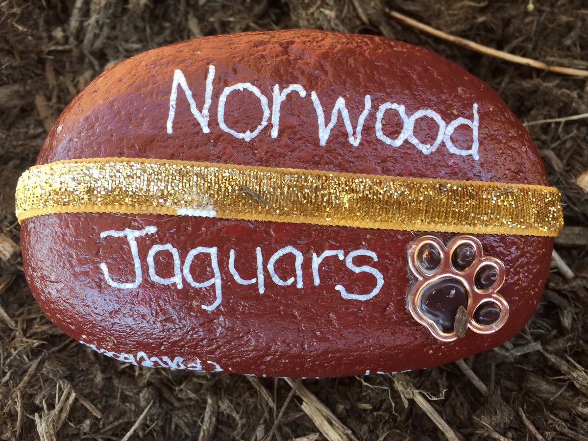 NWESJaguars's tweet photo. We found some very cool rocks on campus today! #norwoodrocks #calebrocks https://t.co/431fGqlAwR