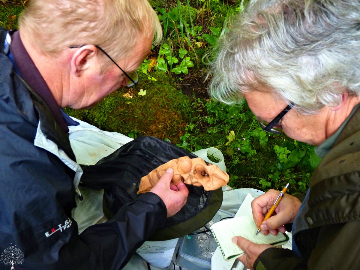 SanjeePerera1's tweet photo. Really enjoyed today's #MothCount with @wns_nats #MothTraps. #Moths #Lepidoptera https://t.co/I395BWE7Nv