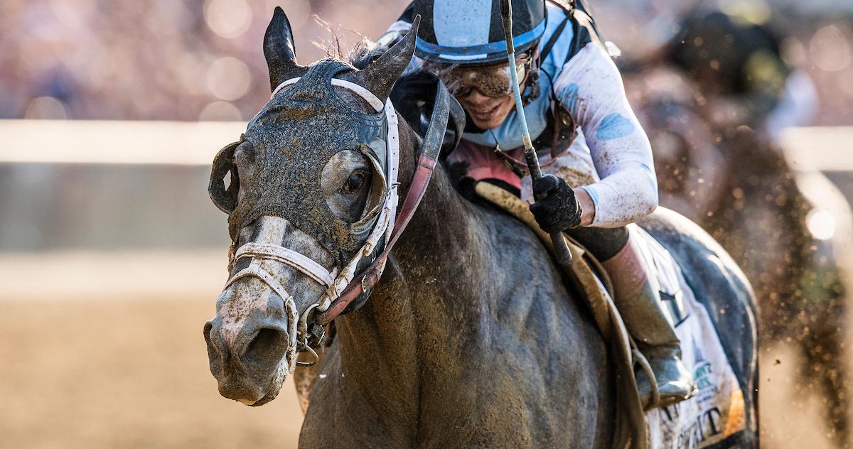 Tapwrit Favored on #Travers Morning Line #BCSweepstakes #WinAndYoureIN - sot.ag/6DBzp