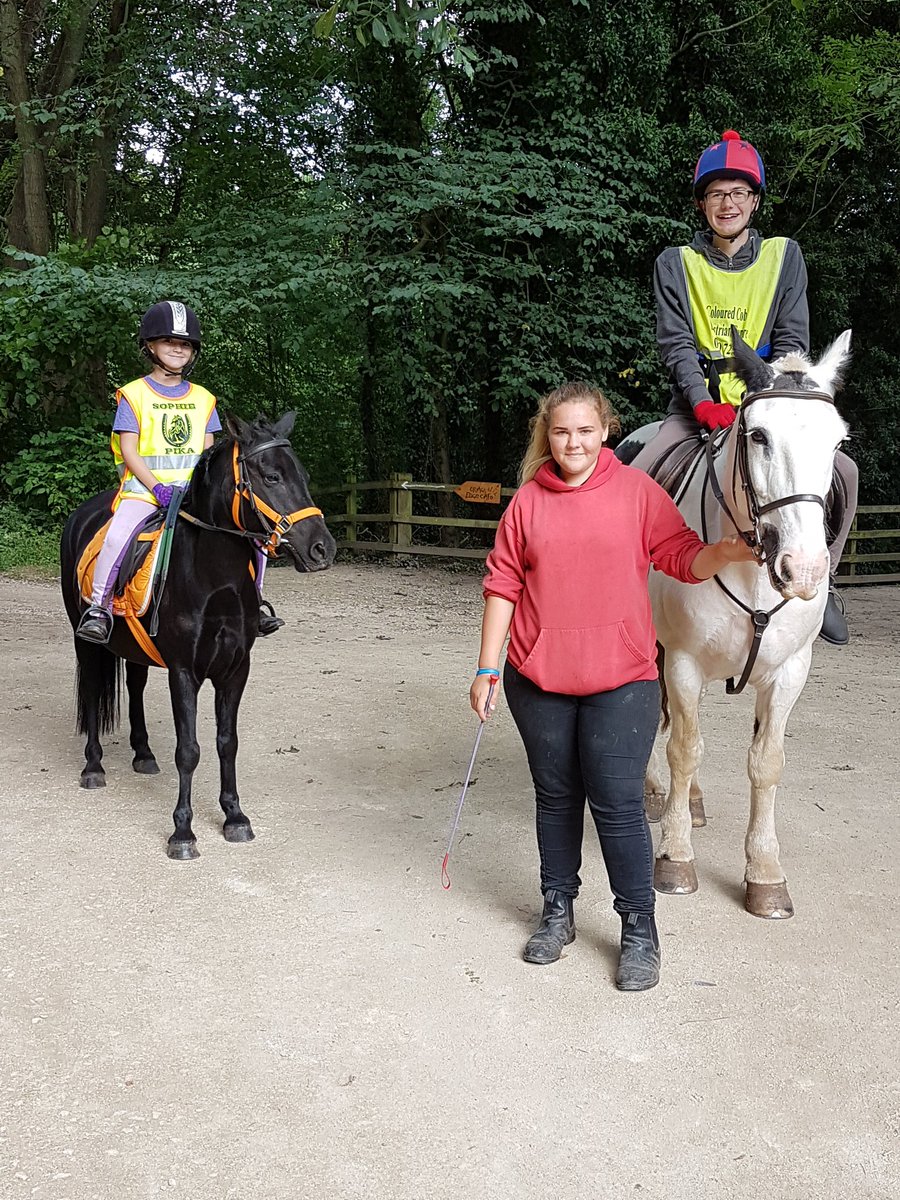 jenlee_lee's tweet photo. Pika rocking the orange @TolleysHCStore #tackroomfriday #ponyhour #ponies https://t.co/3yfnIaQKLN