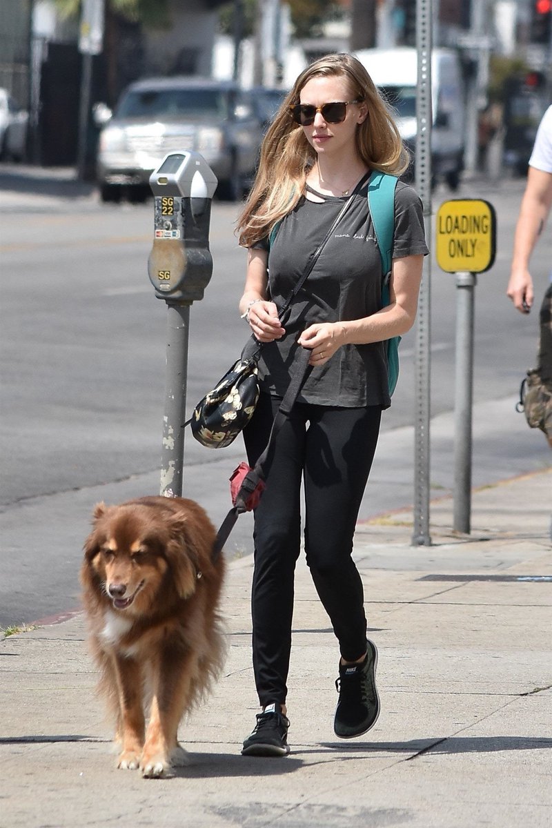 Amanda Seyfried lunch with her family at Cheebo Restaurant, West Hollywood on August 23