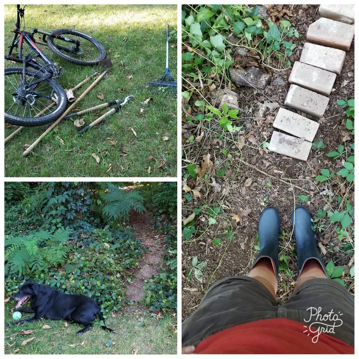 JenJen2683's tweet photo. When backyard trail building in poison ivy infested TN, tall boots are required. #backyardtrails #rideyourbike https://t.co/4Jf0sE1SNR