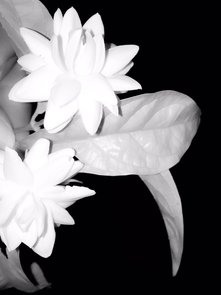 0m1611's tweet photo. اللهُم القِسمة الحِلوة مِن
 كُل شيء 💛🌸 'ء https://t.co/9jB3BgaQnI