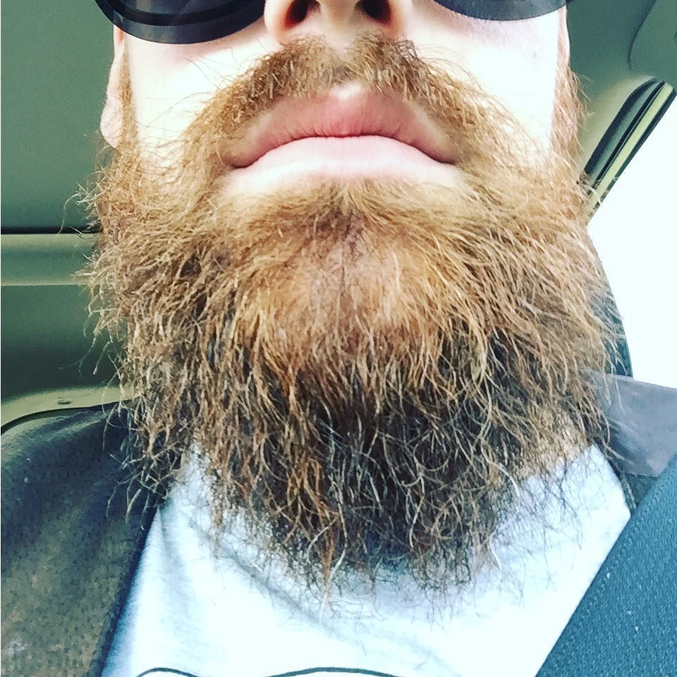 vondinorecords's tweet image. #newlife #newbeard #bringiton ift.tt/2w2b1YY