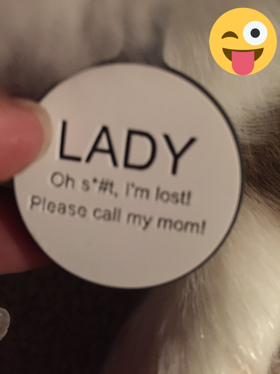 Love the new glow in the dark dog tag from #silidog ❤️