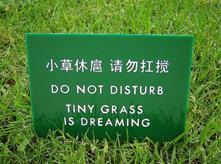 LanguageSI1's tweet photo. Can your grass be greener? Language SI won't produce a failed translation! #ThursdayThoughts https://t.co/CaLX8Sw5gZ