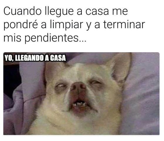 Lapochate's tweet photo. Así mi estatus el día de hoy.  Tooooooodo el pinchi día he traído esa cara. https://t.co/l3kCcrflt1