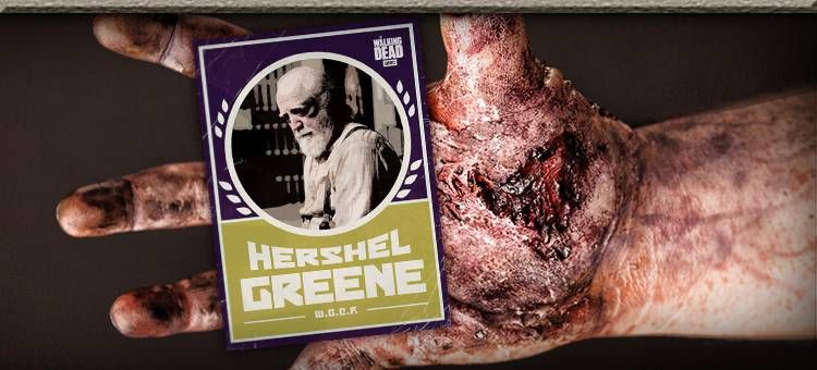 ToppsTWDUC's tweet photo. Hershel has formed a #NewWorld #Republic! Chieftains continues with #HershelGreene! #TWD #ToppsTWD #AMC
https://t.co/IbUQw0pdt1 https://t.co/uubF2ALIPL