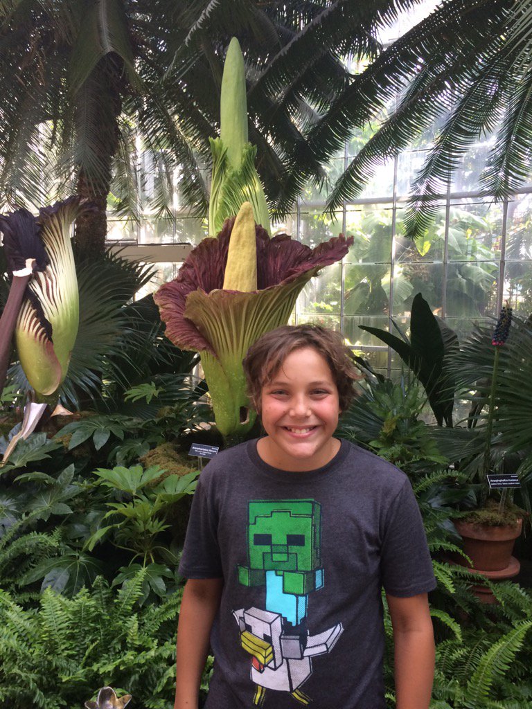 theMaxwellLab's tweet photo. Taking time out from #PVA2017 to admire the corpse flower. It was disappointingly unstinky. https://t.co/I6WLCIw9SD