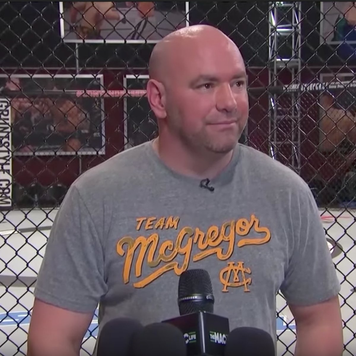 Brian Darley tweet media