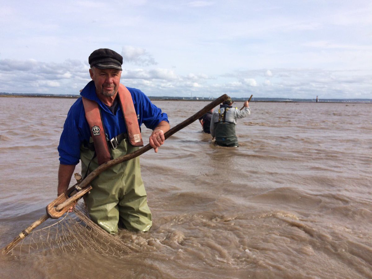 MillardWill's tweet photo. Incredible evening Lave fishing right beneath the Severn bridges. The last traditional fishery in the estuary.    

photos @lastwilderness1 https://t.co/hNVUMg14M8
