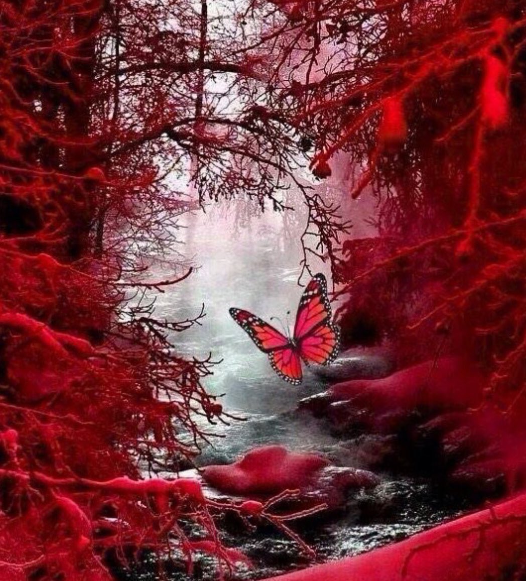 KedmaHelena1's tweet photo. @janenight07 @_71117_ @ganseyman @M71117M61116 @LenaDalli @hikaru2525ajt @Heilda_1 @sheeeeeeeerrry @2020sahara @WwwRaquraishi @1M__000 @fulla_studio @Mechis_M @V2_N_St0 @Claire_MGWV @malindadevil @Quinnqueens @Reta71117 @Natalem71117 @Helenm61116 @RoyalM71117 @M_MartinezRed @vilaandrealili1 @vilaandrea24 @Night_Wolf_1 @RODOLFOALFREDO9 @DOXAgr @Wulf2015GER @AdryMMP @Anny_______0es3 @M_A_Y_A_R_ @_61116_ @omniajen @arybeteus @A_ZUL10 @gamer_fulla @i_n_f_i_n_i @DanDolphin1 @swydersk @nu_vision_quest @am102358 @ZZsheyn @I____free 𝓖𝓸𝓸𝓭𝓝𝓲𝓰𝓱𝓽
Ⓜ#MUNEE #INFINITY #3M 
Ⓜ#Fabiola_71117_TEAM #M71117
🌺@_71117_ @fulla_studio @vilaandrealili1 @_61116_ @Marion_MGWV @Edward733 🙏 https://t.co/JY06DxIt8x