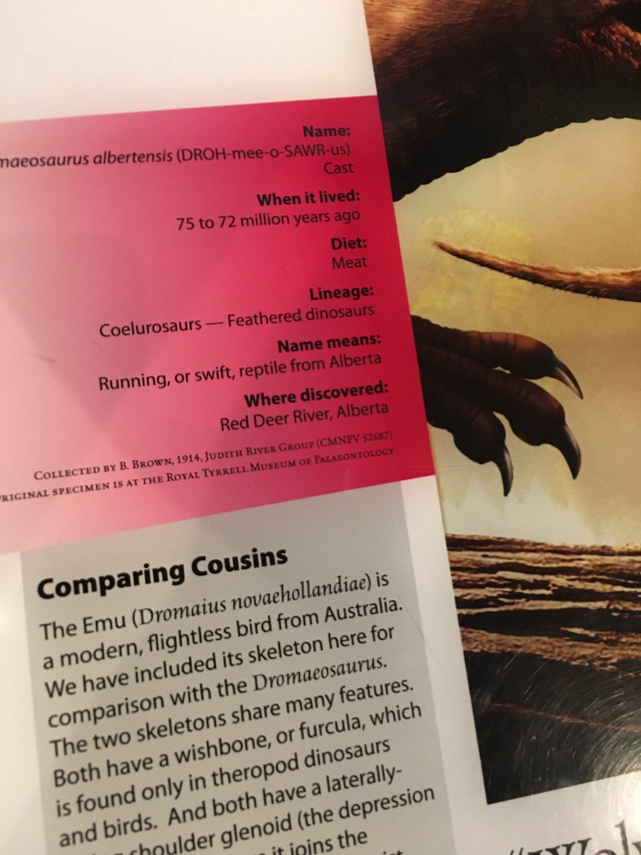 Matt_Dips's tweet photo. Hey @MattyVowels! Look where this dinosaur was discovered. Did you know I lived there? #RedDeer #iLivedThere https://t.co/KAlyo7UBI7